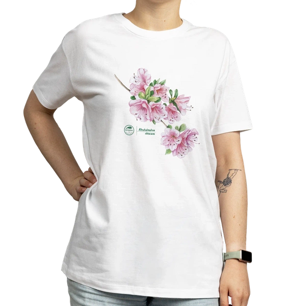 Różanecznik tępolistny — koszulka klasyczna