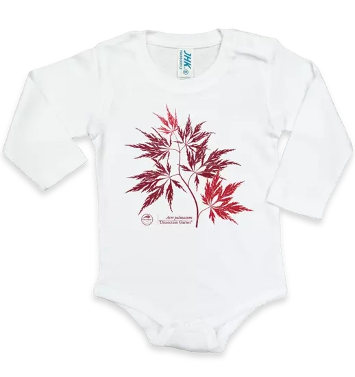 Klon palmowy ‘Dissectum Garnet’ — body dla niemowlaka
