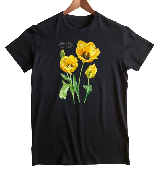 Tulipan 'Crystal Star' — koszulka klasyczna